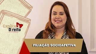 Explica Direito Filiação Socioafetiva  2019 [upl. by Annaes]