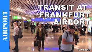 TRANSIT WALK AT FRANKFURT Airport FRA Terminal 1  Connection Flight Transfer Arriving amp Departing [upl. by Cooke]